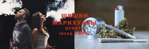 индика Дмитровск
