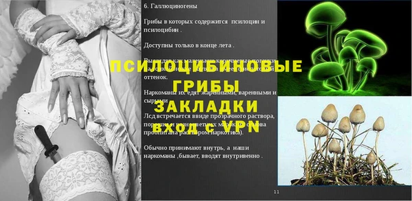 тгк Алзамай