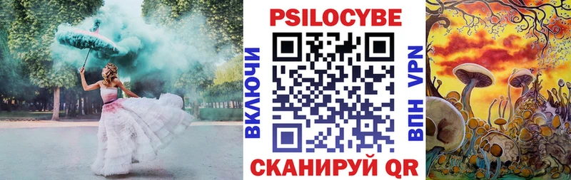 купить  цена  Уварово  Галлюциногенные грибы Psilocybe 